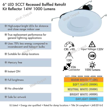 LED Recessed Light