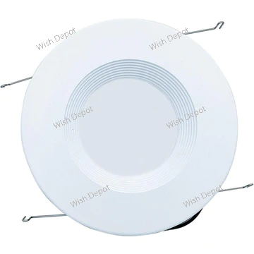LED Recessed Light
