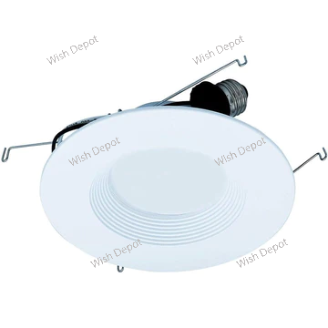 LED Recessed Light