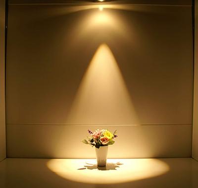 Selling LED Cob Light