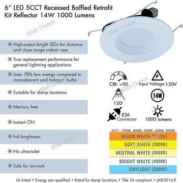 LED Recessed Light 