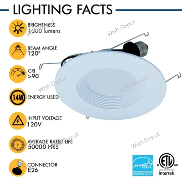 LED Recessed Light 