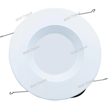 LED Recessed Light 