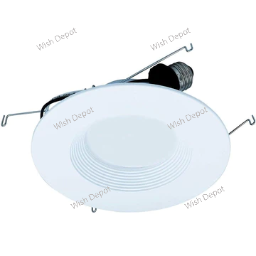 LED Recessed Light 