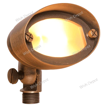 Brass Oval LED Directional Flood Light Adjustable Lighting