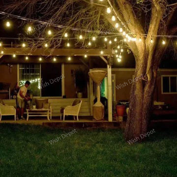 SL101 LED Low Voltage Bistro String Lights 48 FT Outdoor Weatherproof 12V Edison Bulbs