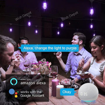 SLR100 LED RGBW Smart Bistro String Lights Color Changing Outdoor Weatherproof 12V Edison Bulbs