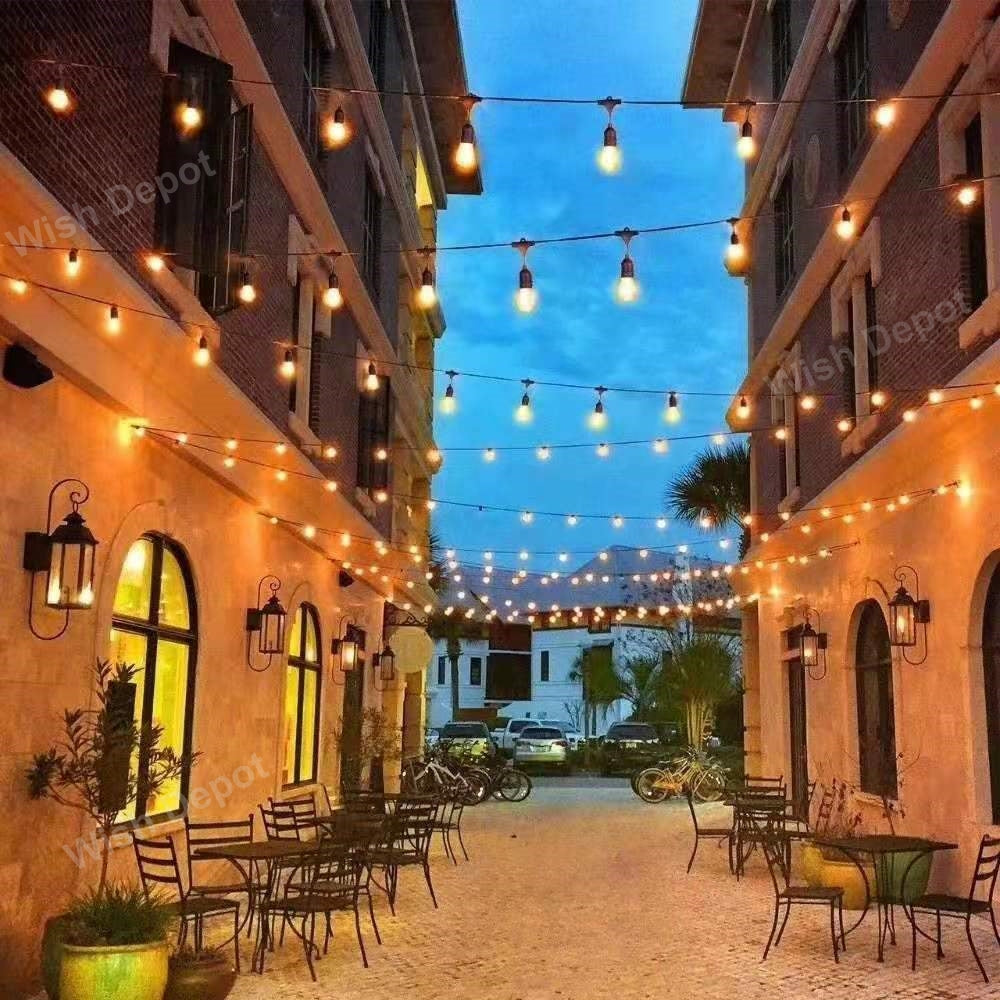 ED Low Voltage Bistro String Lights 48 FT Outdoor Weatherproof 12V Edison Bulbs