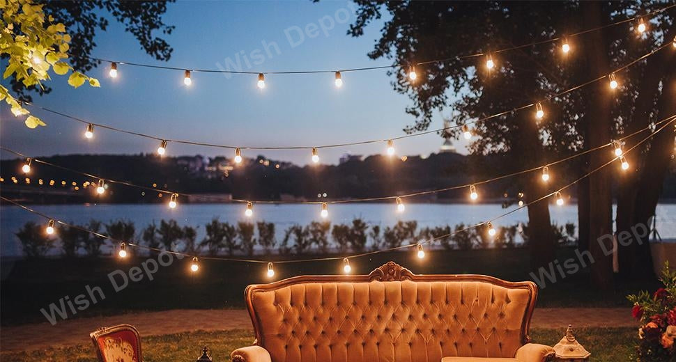 ED Low Voltage Bistro String Lights 48 FT Outdoor Weatherproof 12V Edison Bulbs