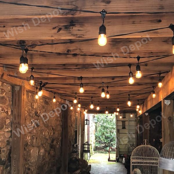 ED Low Voltage Bistro String Lights 48 FT Outdoor Weatherproof 12V Edison Bulbs