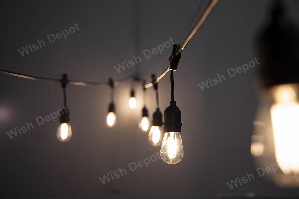 ED Low Voltage Bistro String Lights 48 FT Outdoor Weatherproof 12V Edison Bulbs